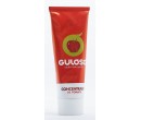 Concentrado de Tomate Bisnaga Guloso